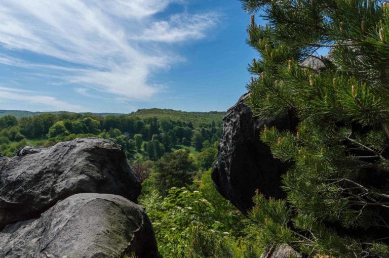 Harz Teufelsfelsen Wald