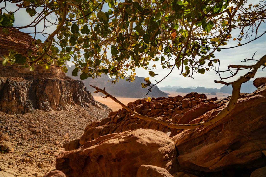 Wadi Rum Lawrence's SpringWadi Rum Lawrence's Spring