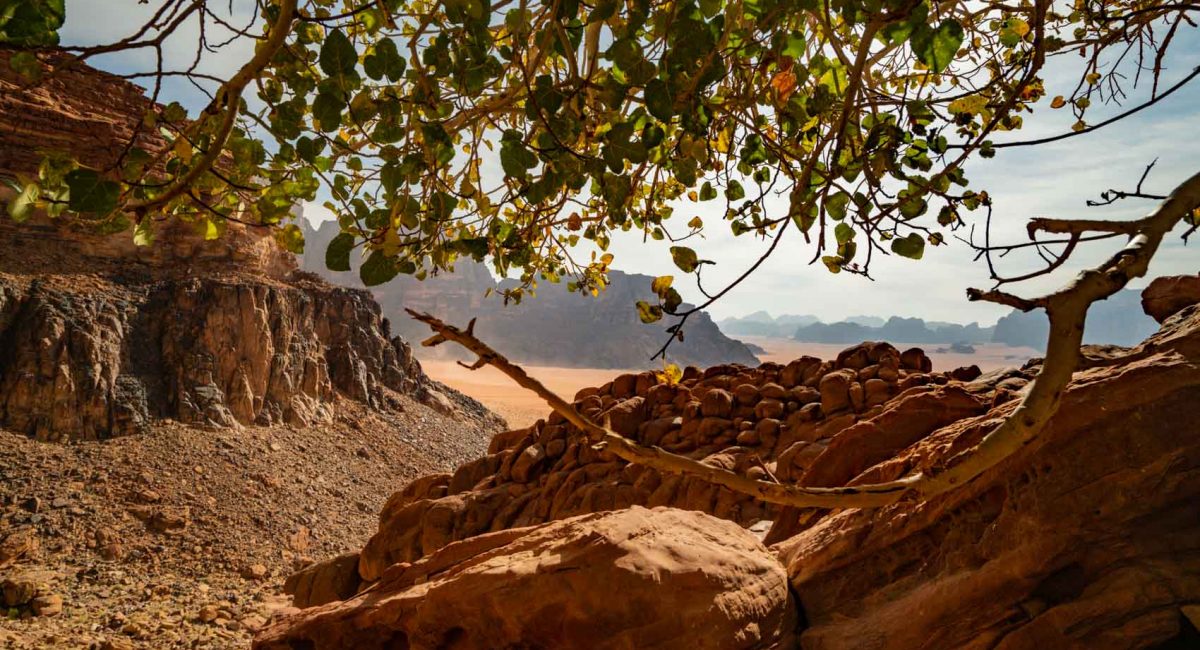 Wadi Rum Lawrence's SpringWadi Rum Lawrence's Spring